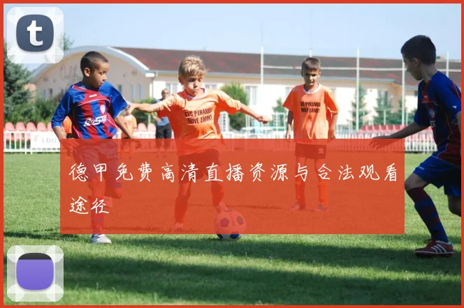 德甲免费高清直播资源与合法观看途径