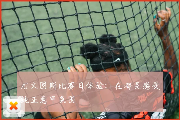 尤文图斯比赛日体验：在都灵感受纯正意甲氛围