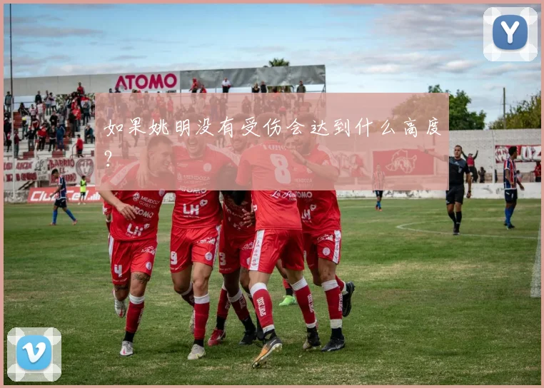 如果姚明没有受伤会达到什么高度？