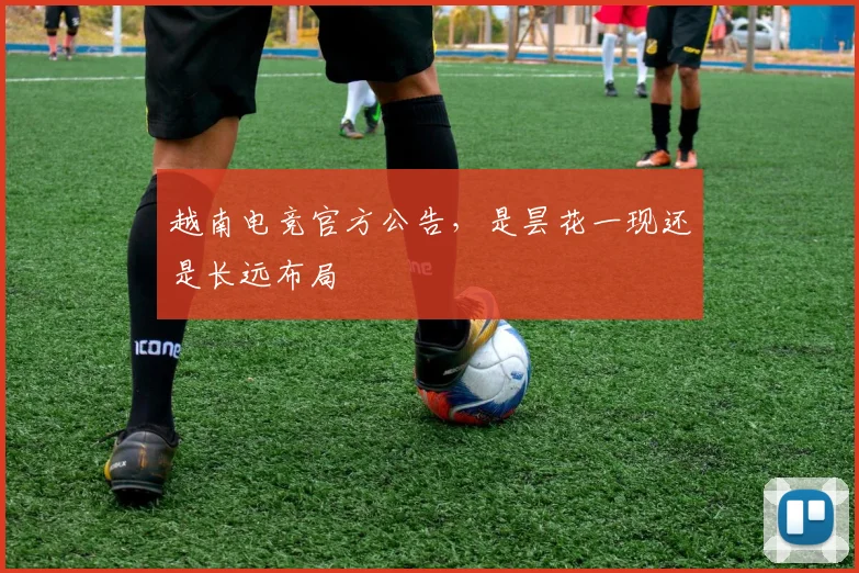 越南电竞官方公告，是昙花一现还是长远布局