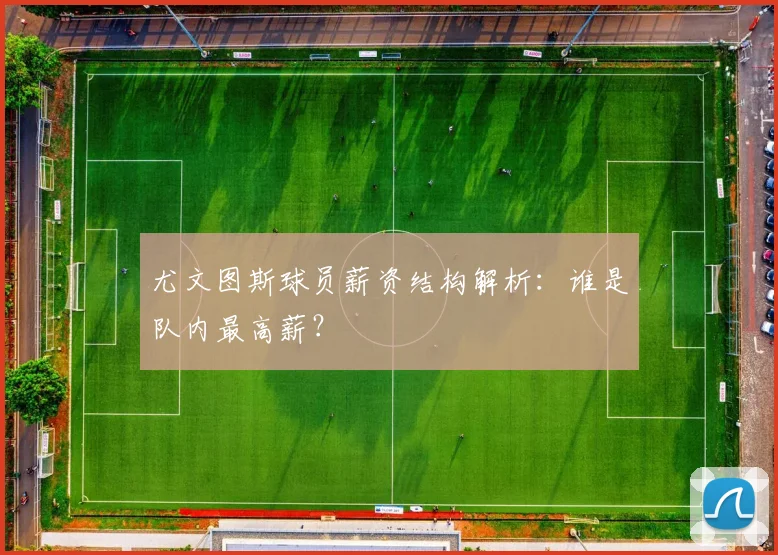 尤文图斯球员薪资结构解析：谁是队内最高薪？