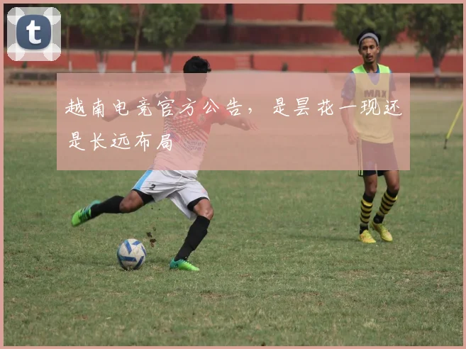 越南电竞官方公告，是昙花一现还是长远布局