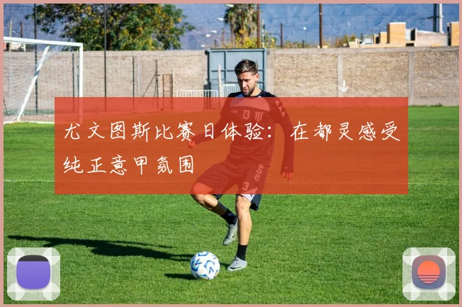 尤文图斯比赛日体验：在都灵感受纯正意甲氛围