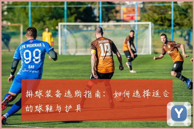 排球装备选购指南：如何选择适合的球鞋与护具