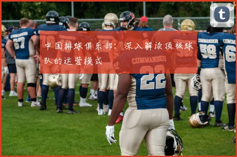 中国排球俱乐部：深入解读顶级球队的运营模式
